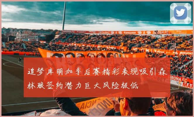 追梦库明加季后赛精彩表现吸引森林狼签约潜力巨大风险极低