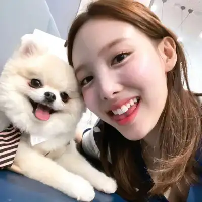 梁淼淼