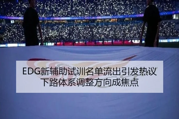 EDG新辅助试训名单流出引发热议 下路体系调整方向成焦点